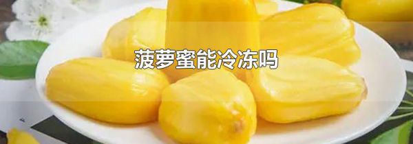 菠萝蜜能冷冻吗