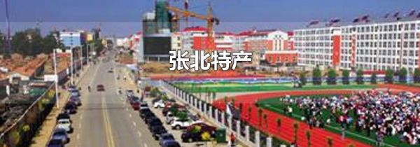 张北特产