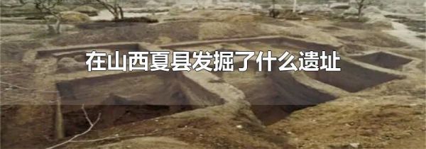 在山西夏县发掘了什么遗址