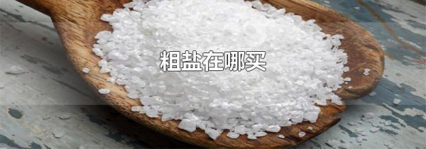 粗盐在哪买