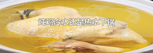 炖鸡冷水还是热水下锅