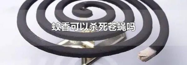 蚊香可以杀死苍蝇吗