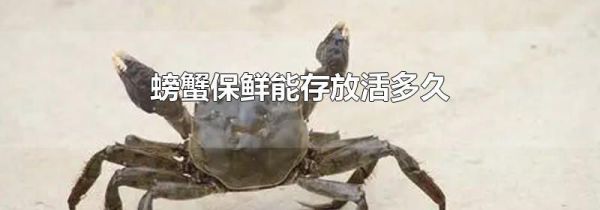 螃蟹保鲜能存放活多久