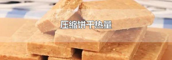 压缩饼干热量