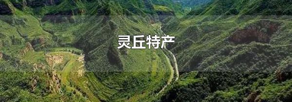 灵丘特产