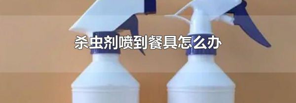 杀虫剂喷到餐具怎么办