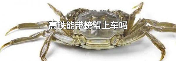 高铁能带螃蟹上车吗