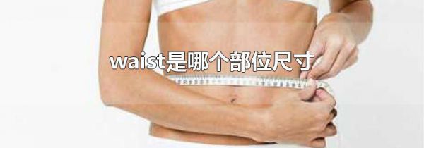 waist是哪个部位尺寸