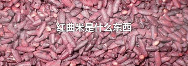 红曲米是什么东西