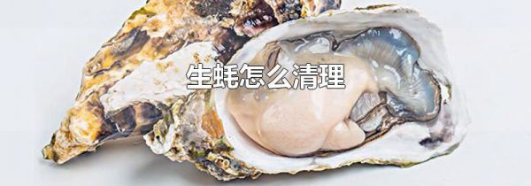 生蚝怎么清理