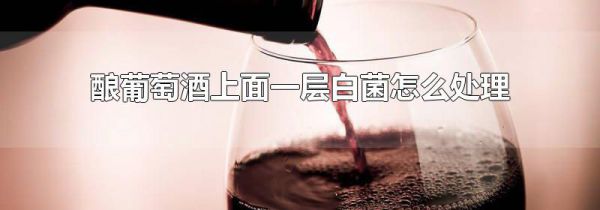 酿葡萄酒上面一层白菌怎么处理
