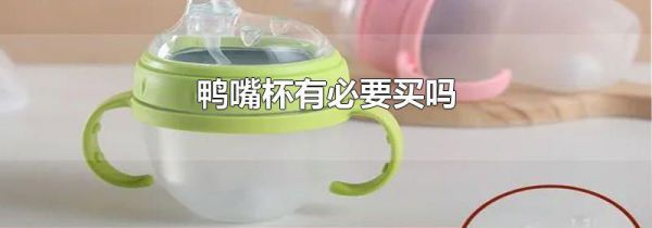 鸭嘴杯有必要买吗