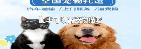 顺丰可以寄宠物猫吗