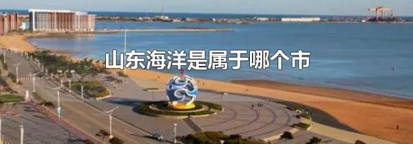 山东海洋是属于哪个市