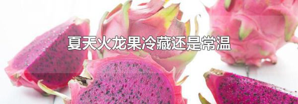 夏天火龙果冷藏还是常温