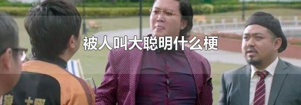 被人叫大聪明什么梗