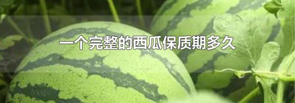 一个完整的西瓜保质期多久