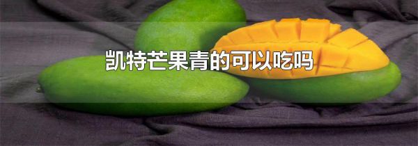 凯特芒果青的可以吃吗