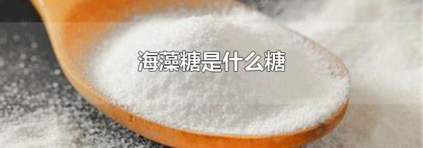 海藻糖是什么糖