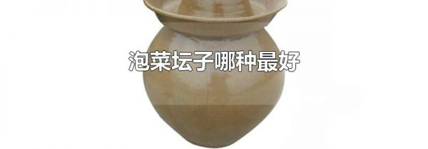 泡菜坛子哪种最好
