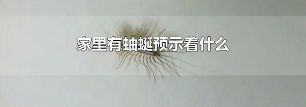 家里有蚰蜒预示着什么