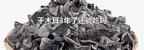 干木耳3年了还能吃吗