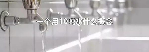 一个月10吨水什么概念