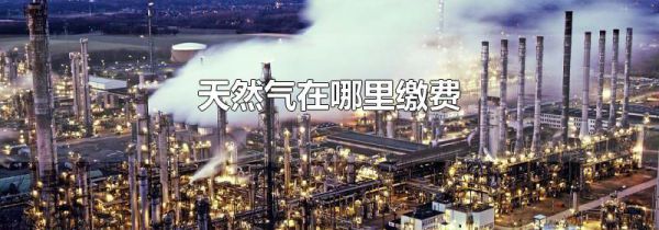 天然气在哪里缴费