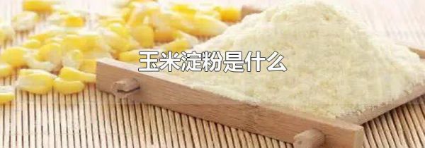 玉米淀粉是什么