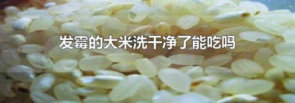 发霉的大米洗干净了能吃吗