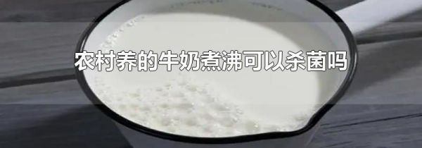农村养的牛奶煮沸可以杀菌吗