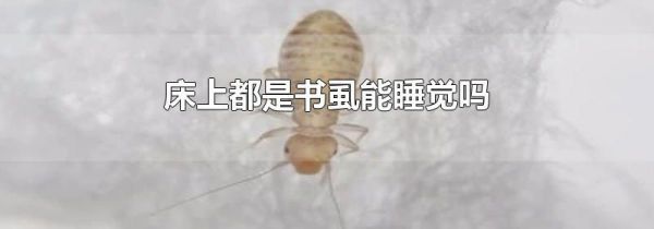 床上都是书虱能睡觉吗