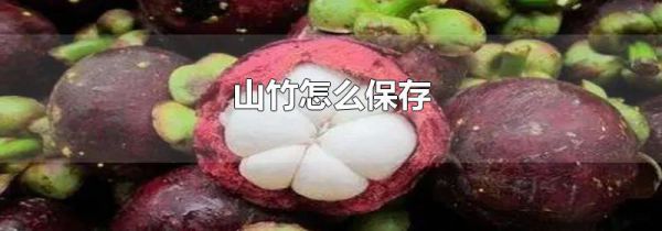 山竹怎么保存