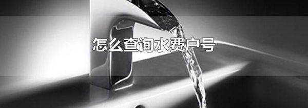 怎么查询水费户号