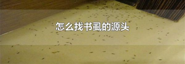 怎么找书虱的源头