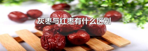 灰枣与红枣有什么区别