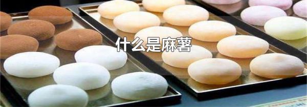 什么是麻薯