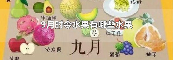 9月时令水果有哪些水果
