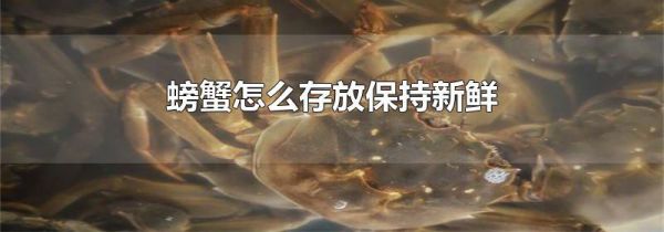 螃蟹怎么存放保持新鲜
