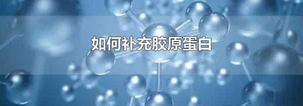 如何补充胶原蛋白
