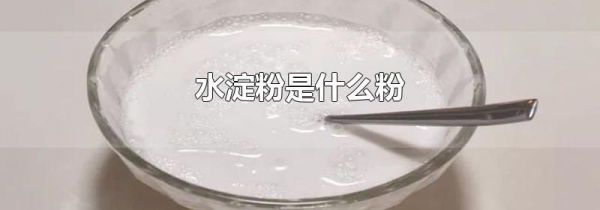 水淀粉是什么粉