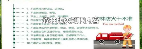森林防火知识内容