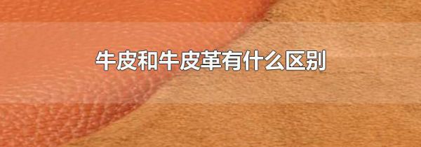 牛皮和牛皮革有什么区别