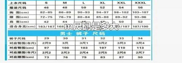 m尺码是多大
