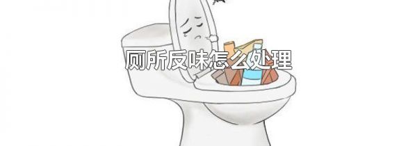 厕所反味怎么处理