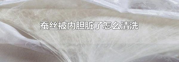 蚕丝被内胆脏了怎么清洗