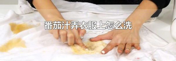 番茄汁弄衣服上怎么洗