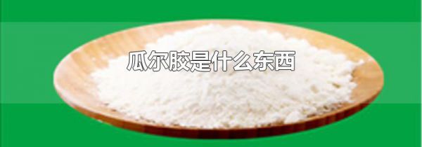 瓜尔胶是什么东西
