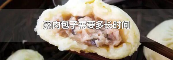 蒸肉包子需要多长时间