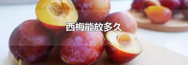 西梅能放多久